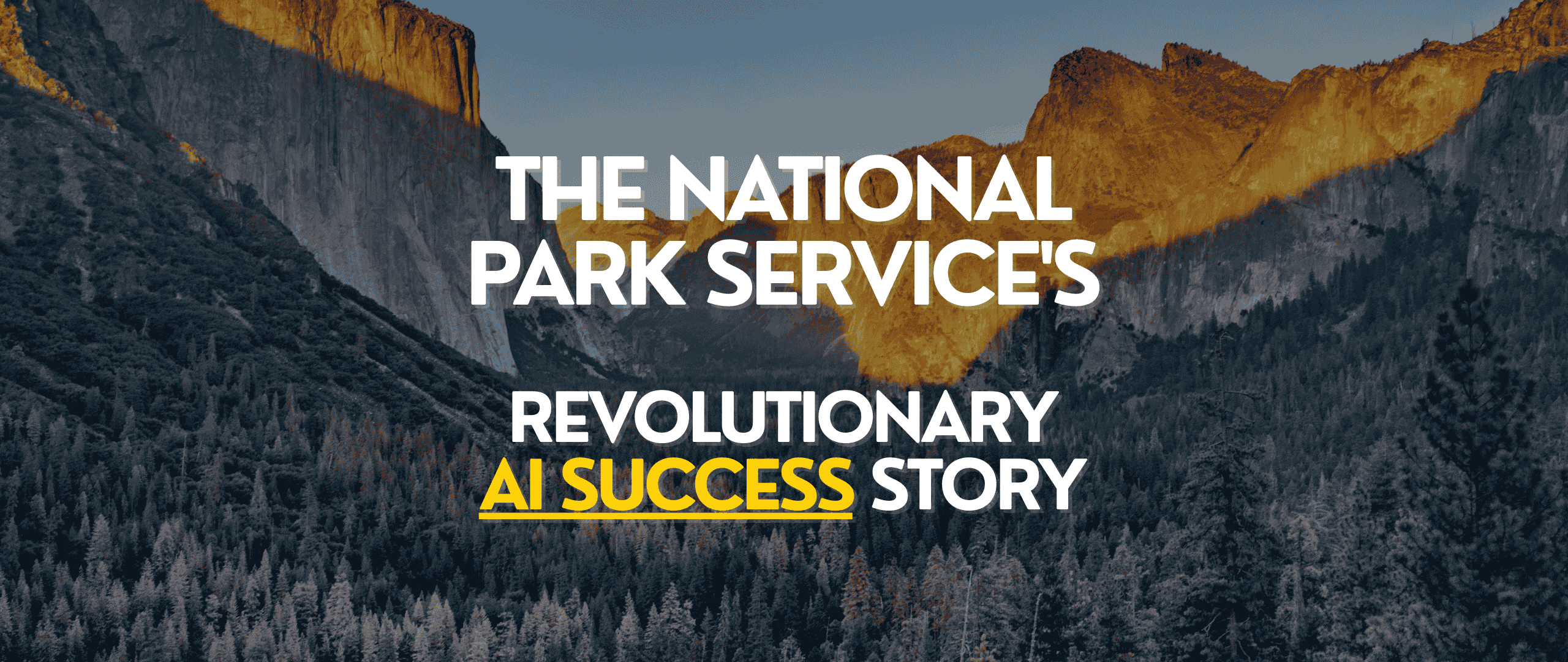 45 Minutes to Freedom: The National Park Service's Revolutionary AI Success Story